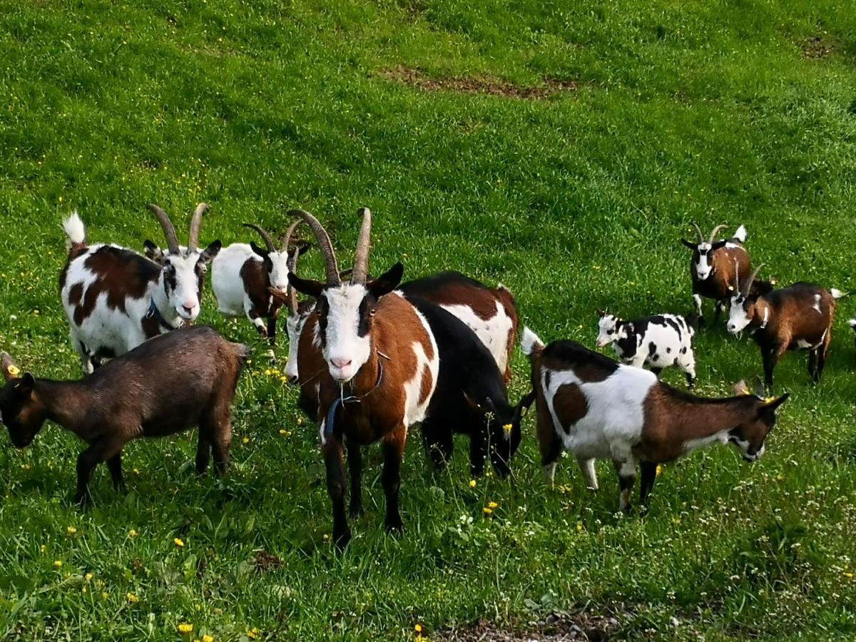 Wieserhof Tirol Oetz Exterior foto